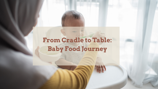 From Cradle to Table: Baby Food Journey