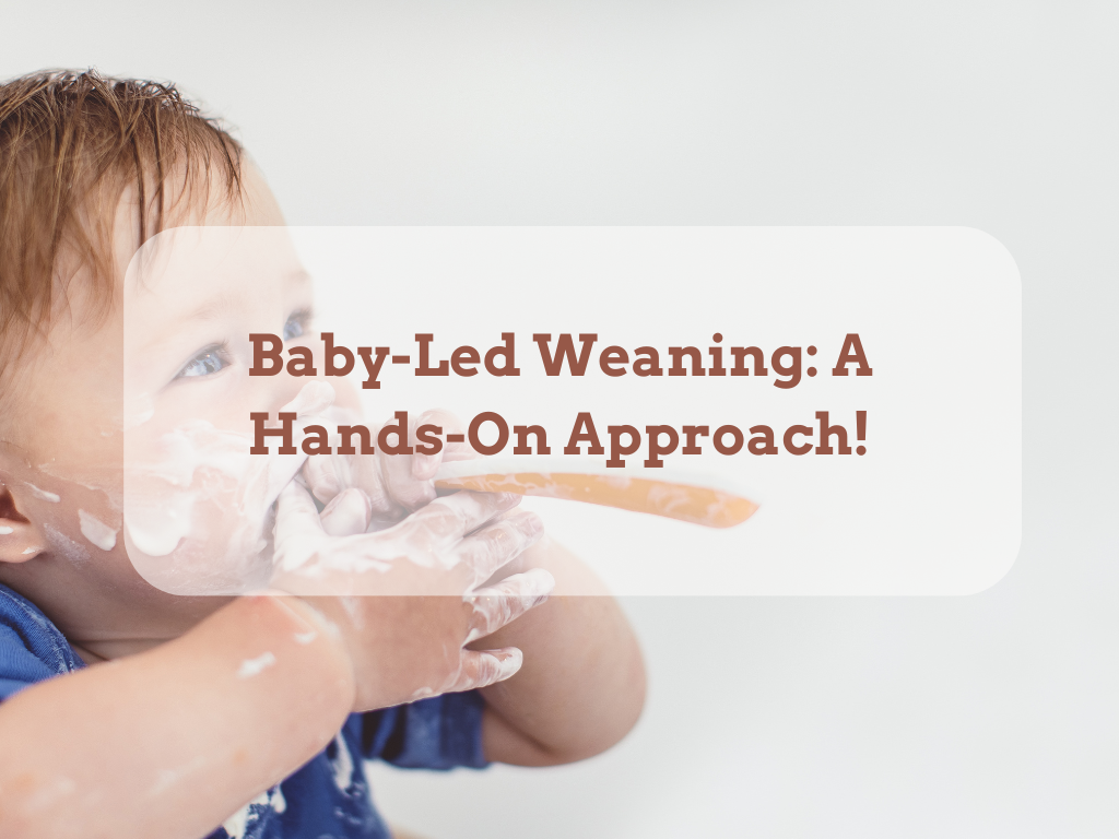 Baby-Led Weaning: A Hands-On Approach!